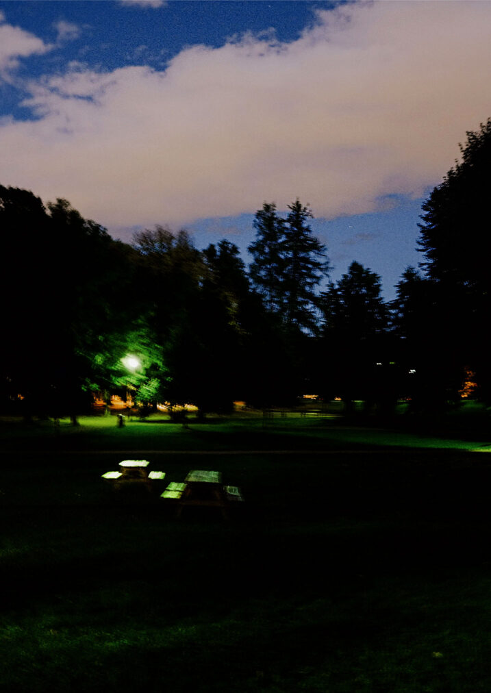 frogner park at night